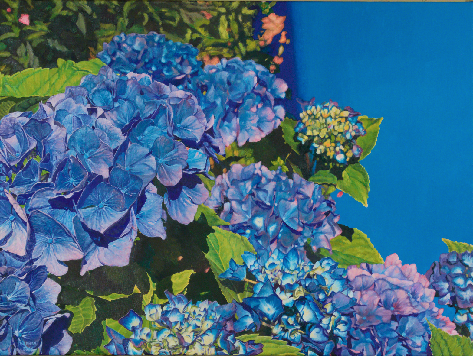 Gerhard-Wienss.de background image